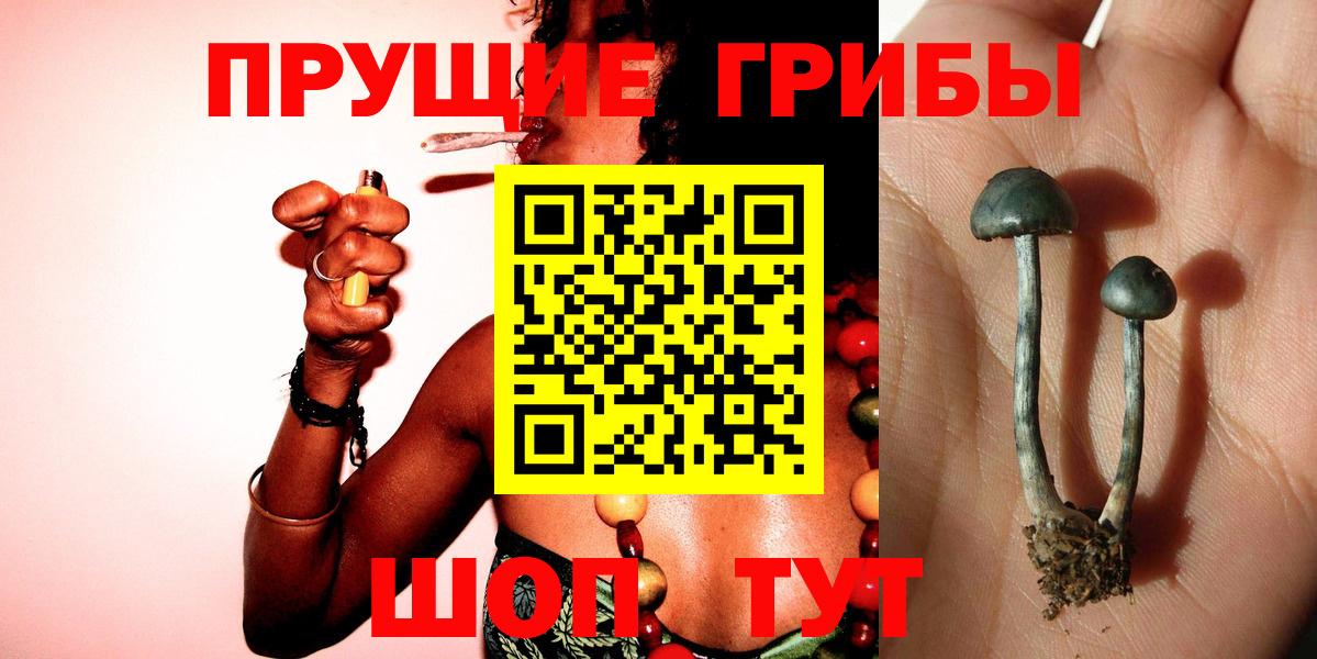 Псилоцибиновые грибы Psilocybine cubensis Салават